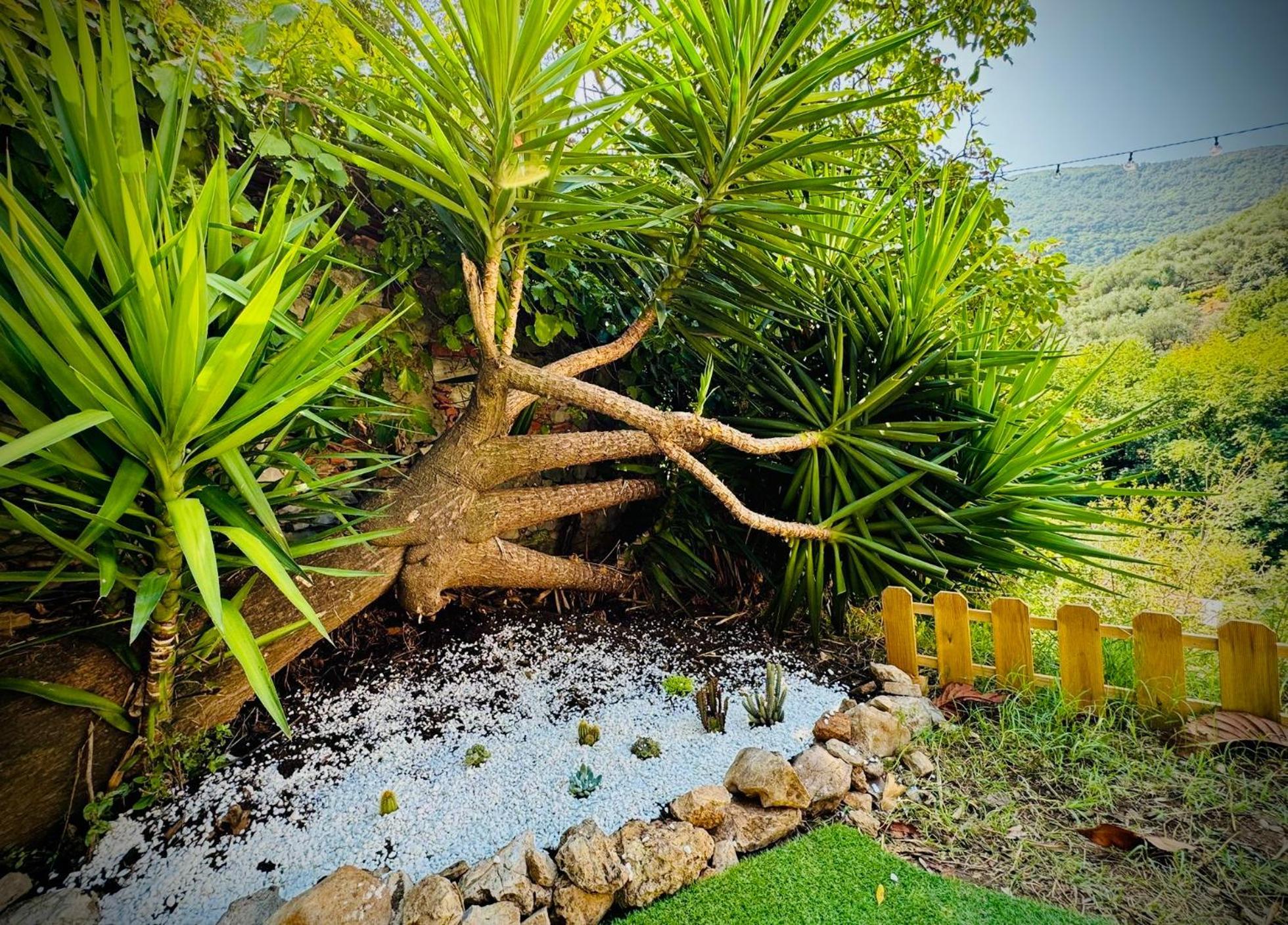 ラ・スペツィア Casa Olive 53 Mareヴィラ エクステリア 写真